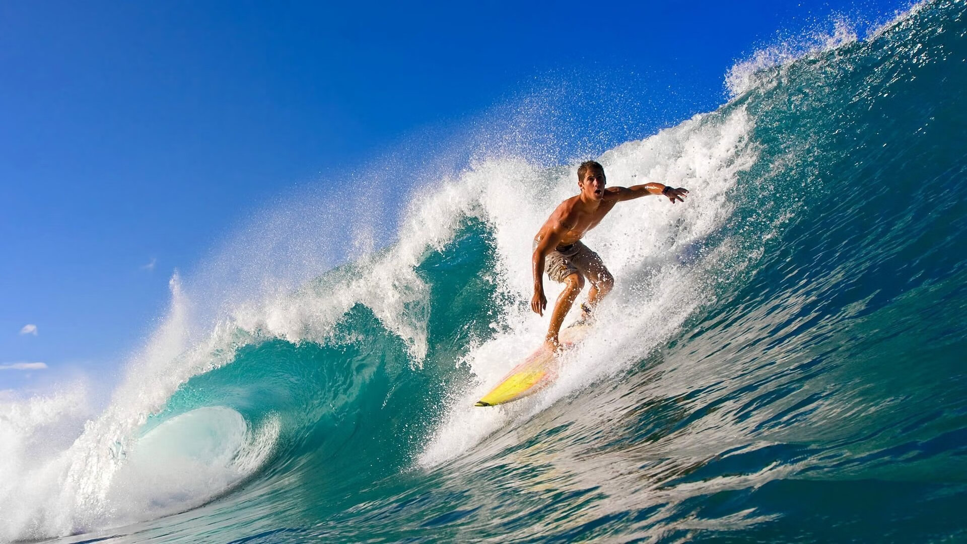 德国队在2024年乒乓世界杯赛场上的精湛技巧，2020德国世乒赛结果