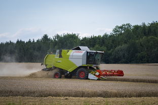 开云APP-田径跨项目交流营探索协同训练新方式，田径跨栏的动作讲解