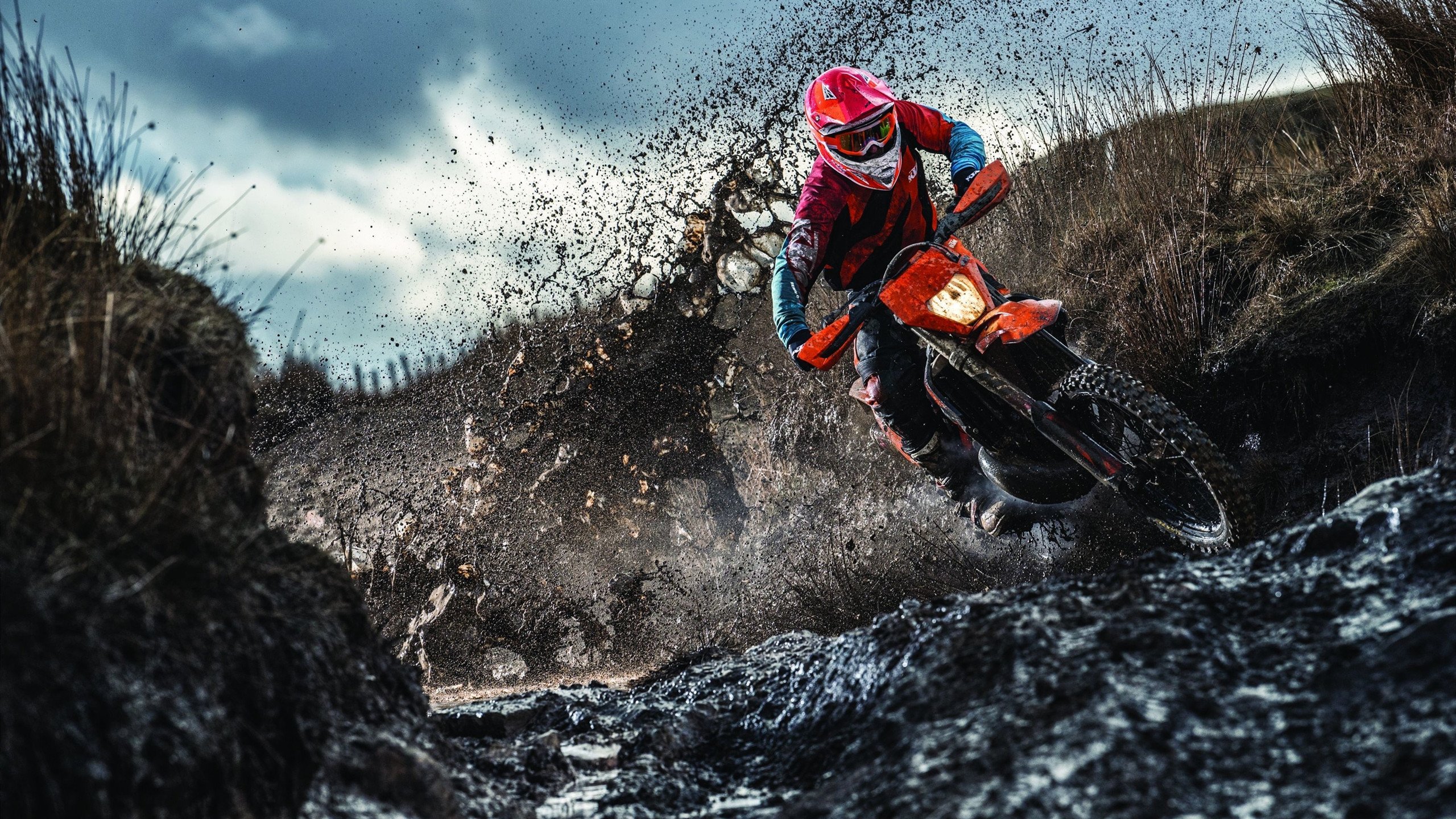 奖牌点稳定，队伍引擎地位稳固，奖牌项目